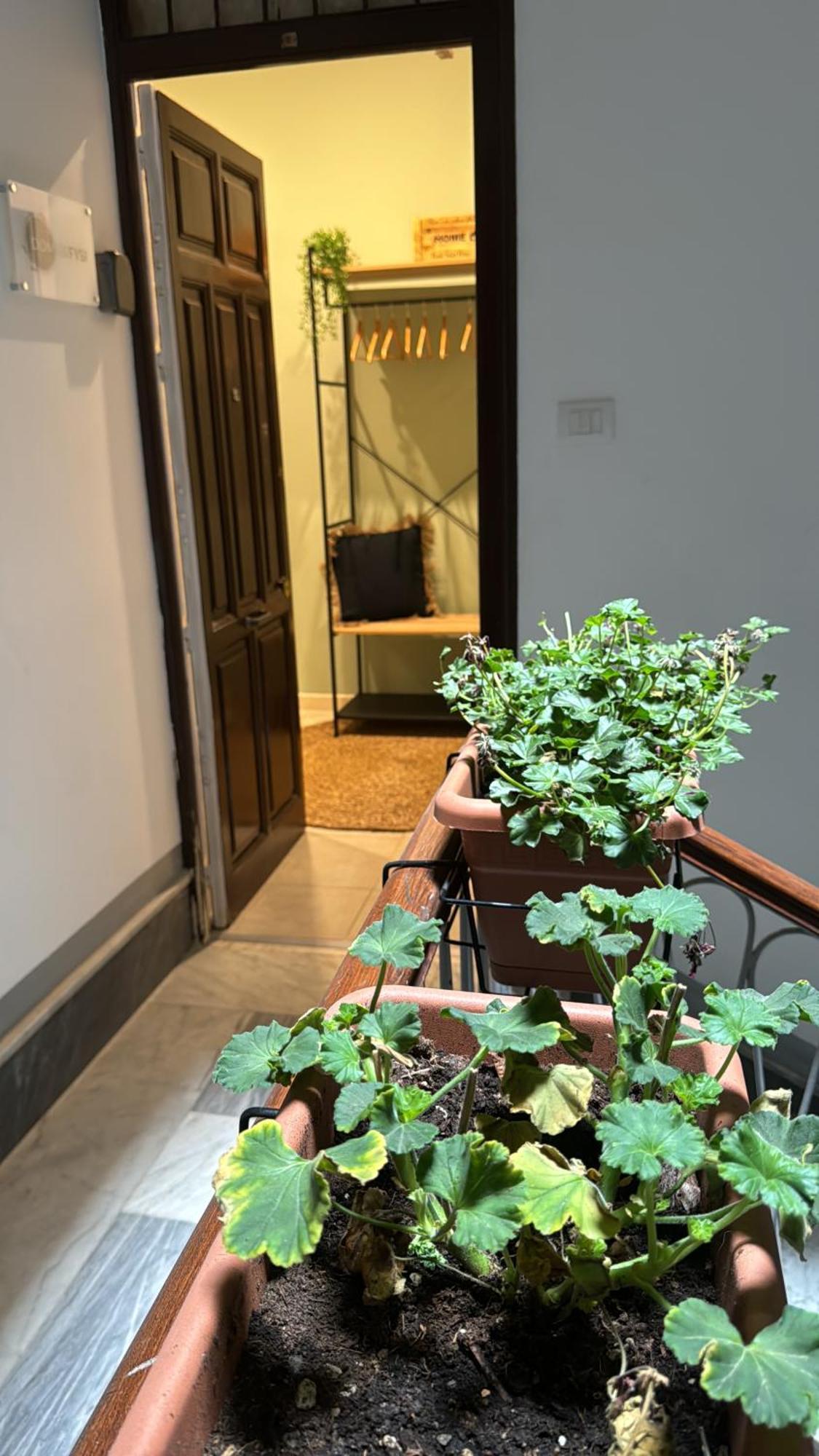 Hotel Domus Fysi Palermo Zewnętrze zdjęcie