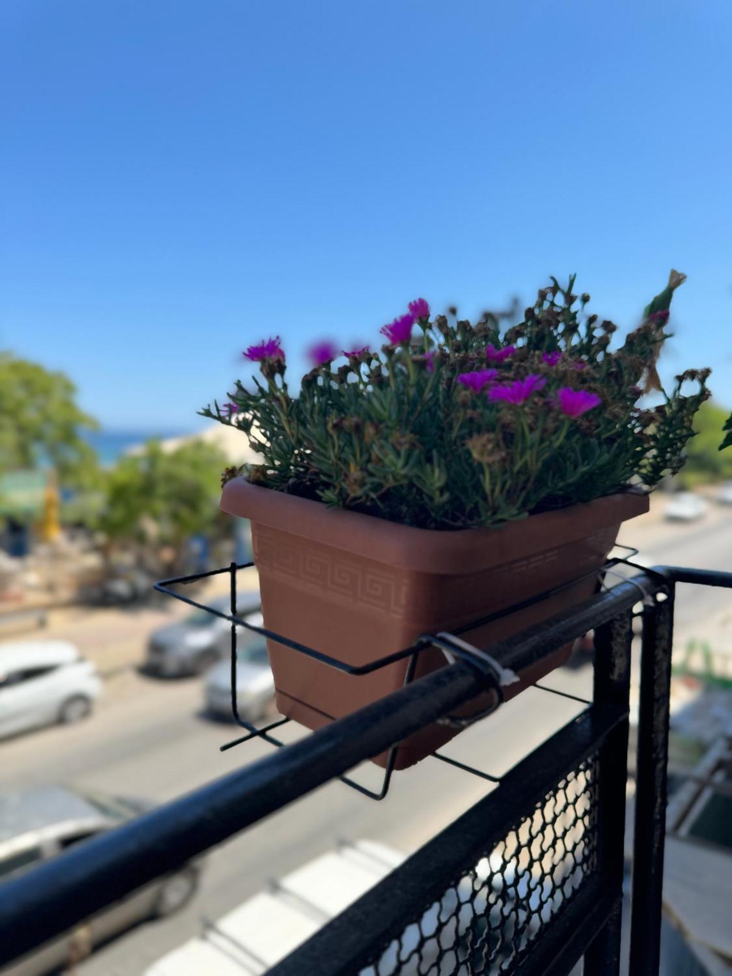 Hotel Domus Fysi Palermo Zewnętrze zdjęcie